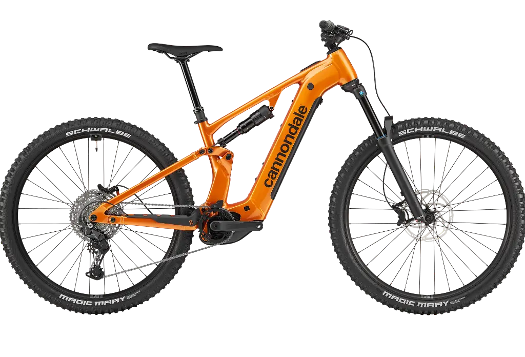 E Mountain Bike